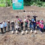 Bupati Heriyus Tanam Jagung Hibrida di Saripoi, Dukung Swasembada Pangan Daerah