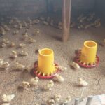 Realisasi Anggaran BUMT Tiyuh Panca Marga diduga Jadi Ajang Korupsi